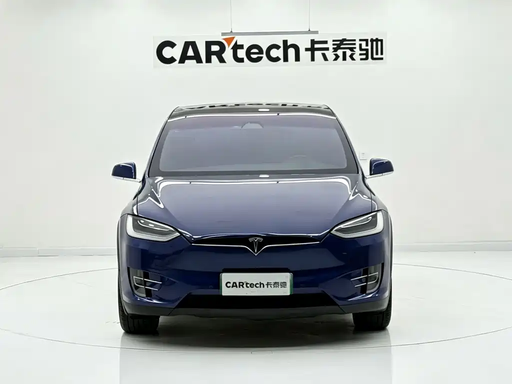 Tesla Model X 2017 Model X 100D