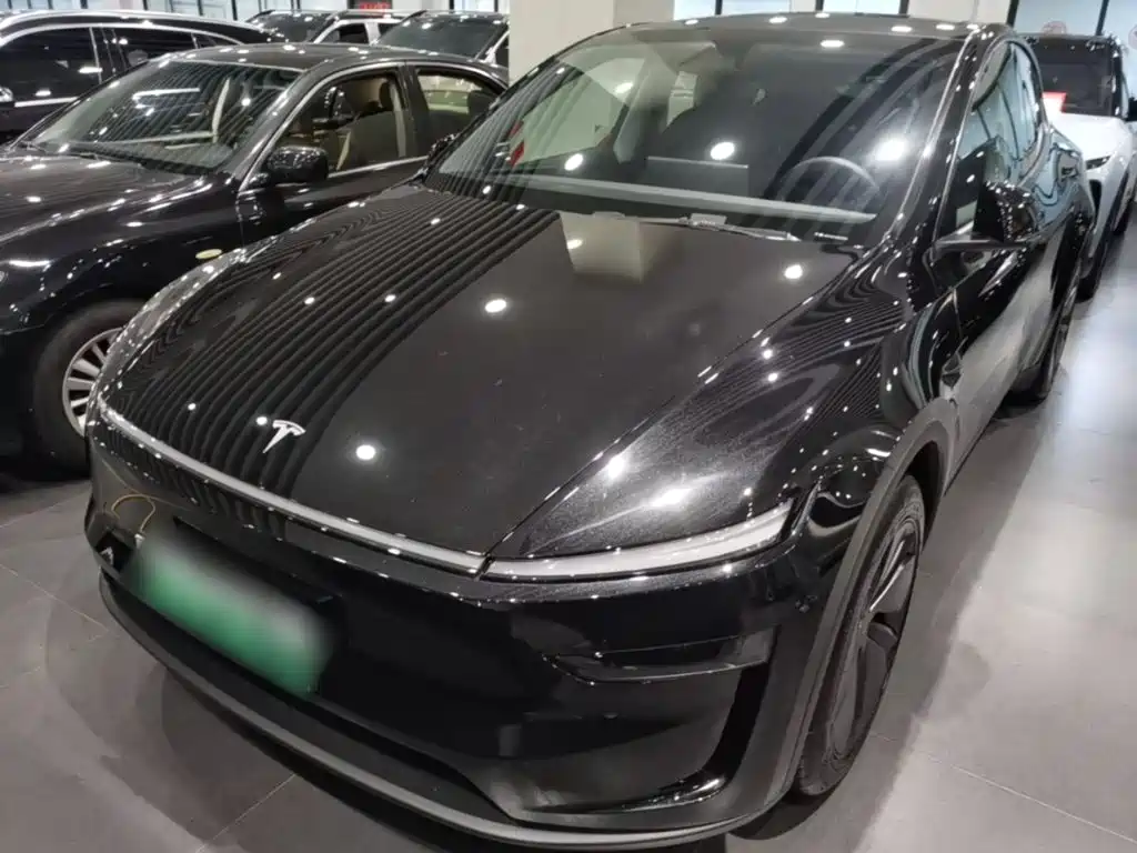 Tesla Model Y — миниатюра 3