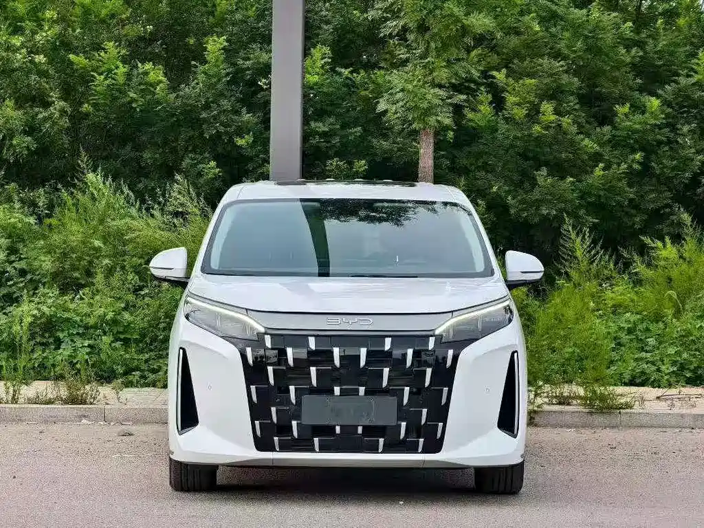 BYD M9 — миниатюра 2