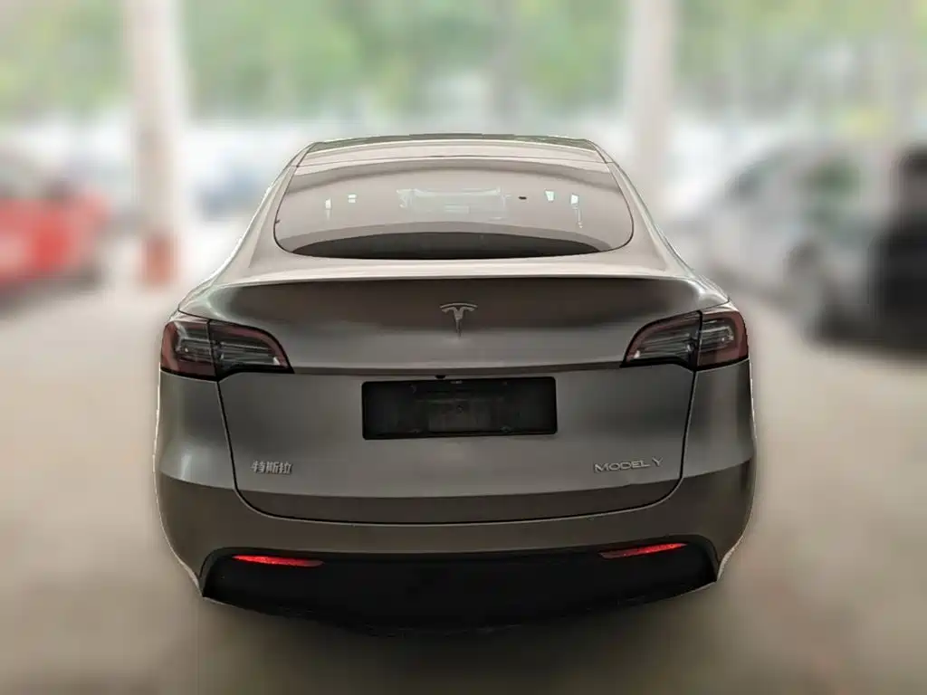 Tesla Model Y — миниатюра 8