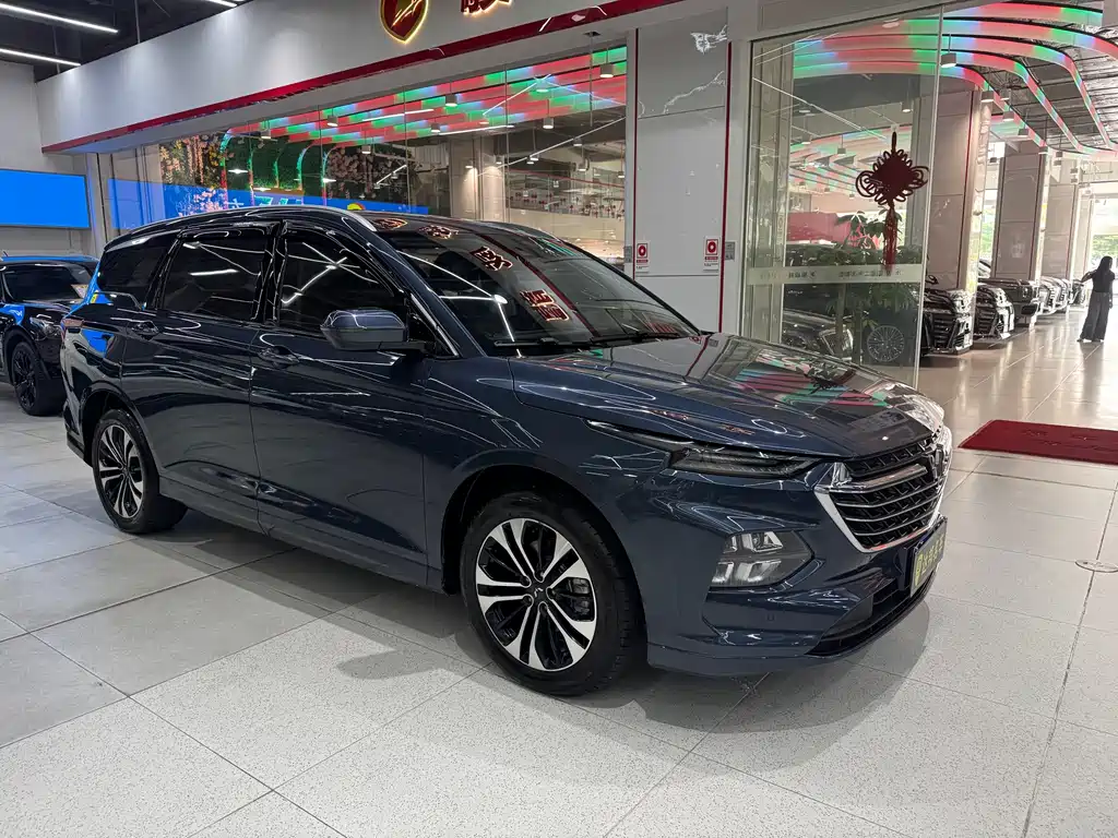 Wuling Victory — миниатюра 4