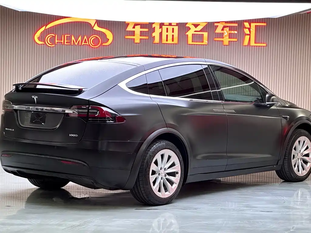 Tesla Model X — миниатюра 23