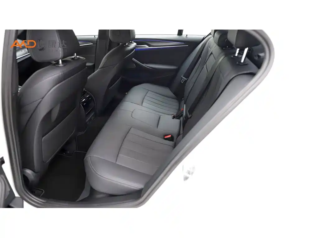 BMW 5 Series 5 2022 530i M Sport
