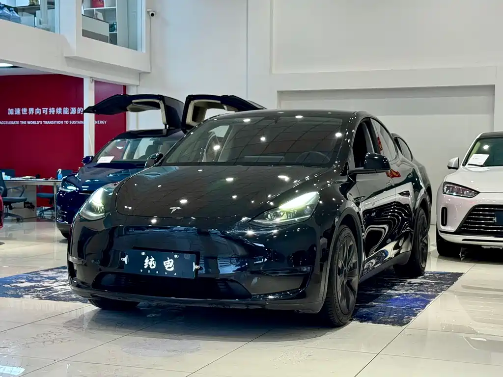 Tesla Model Y 2021