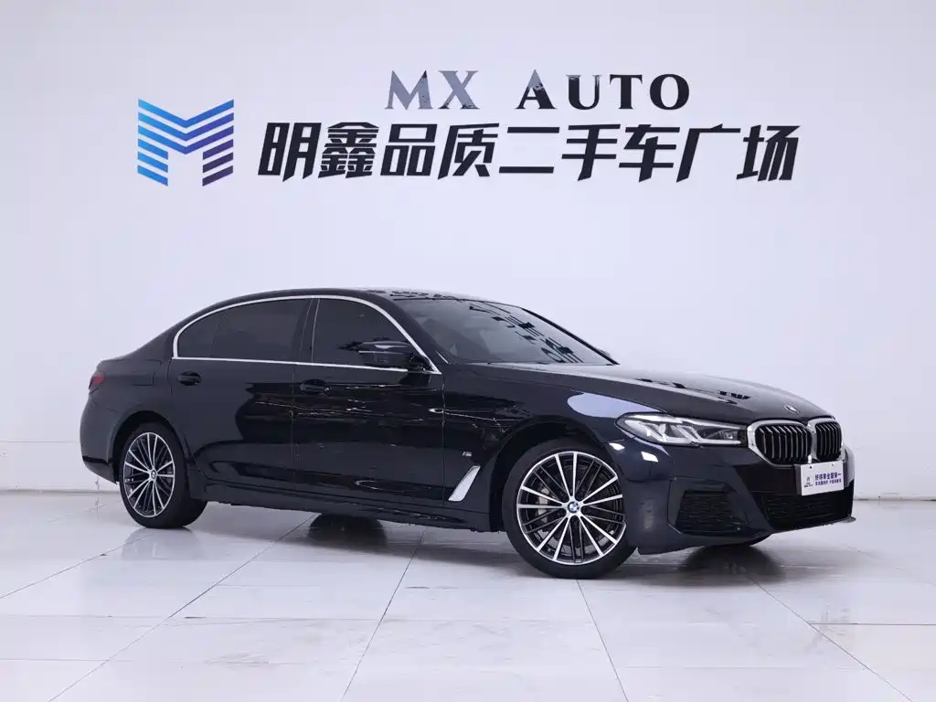 BMW 5 Series — миниатюра 5