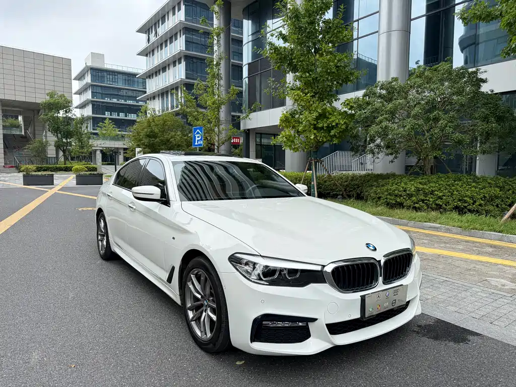 BMW 5 Series (Import) — миниатюра 3
