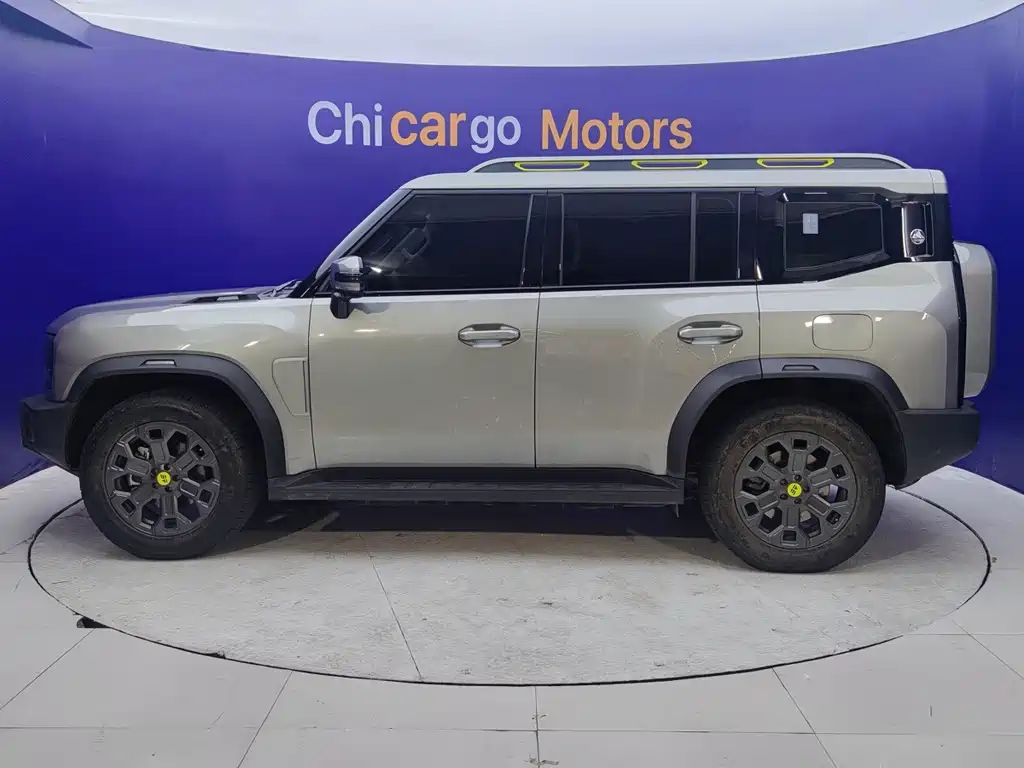 Shanhai Traveller C-DM — миниатюра 7