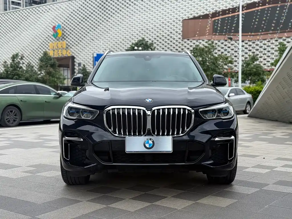 BMW X5 — миниатюра 7