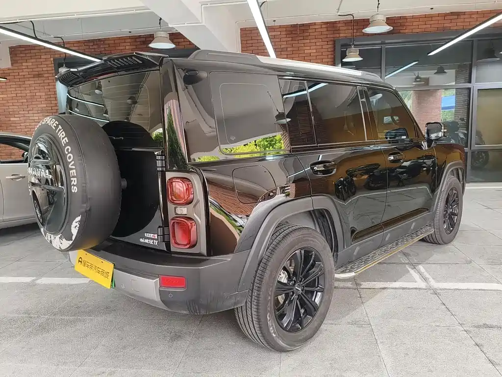 Haval Menglong New Energy — миниатюра 4