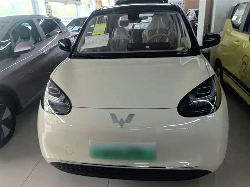 Wuling Binguo 2025 333km Enjoy