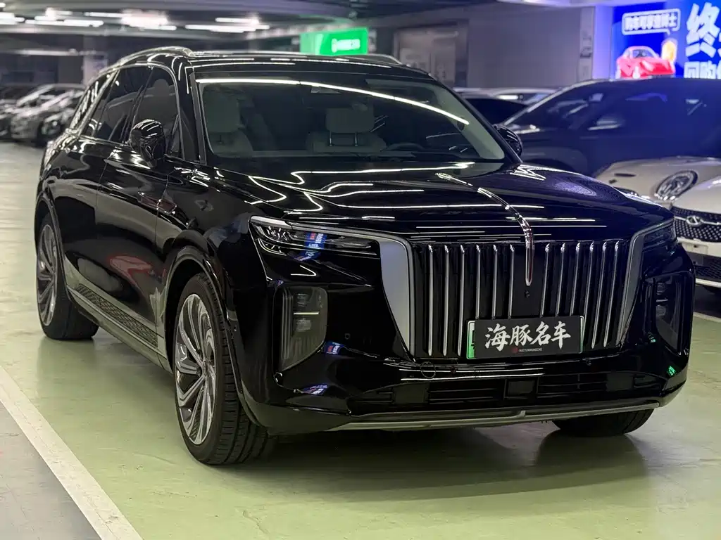 Hongqi E-HS9 2021 510km мест