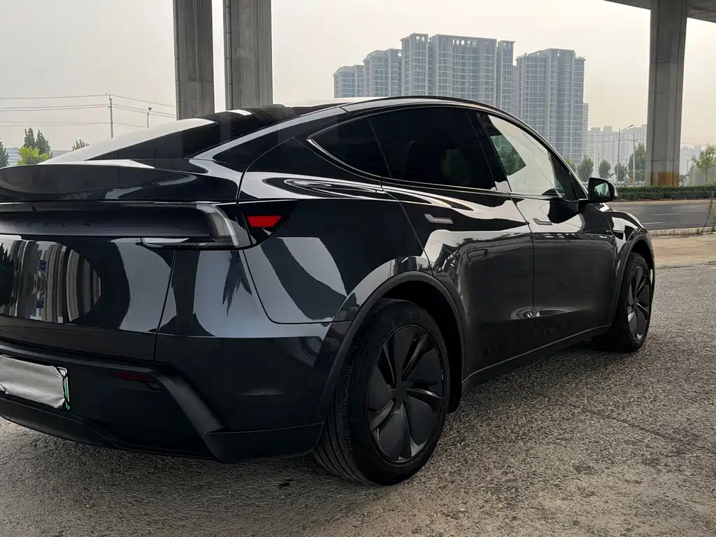 Tesla Model Y — миниатюра 5