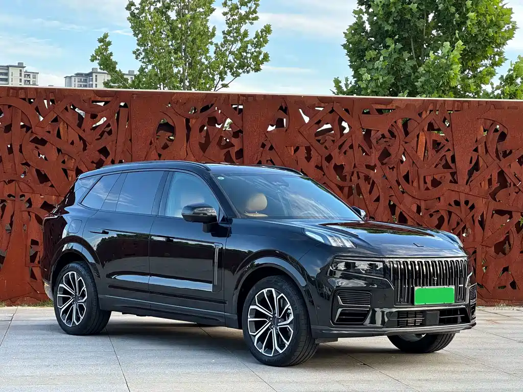 Lynk & Co 09 EM-P 2025 2.0TD EM-P Max мест
