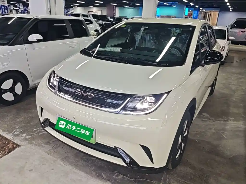 BYD Dolphin — миниатюра 2