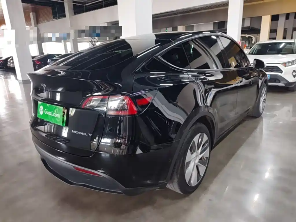 Tesla Model Y — миниатюра 7