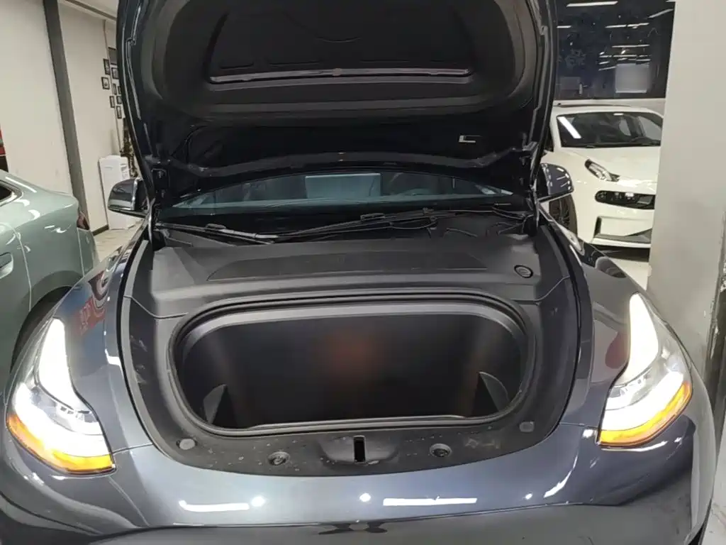 Tesla Model Y — миниатюра 20