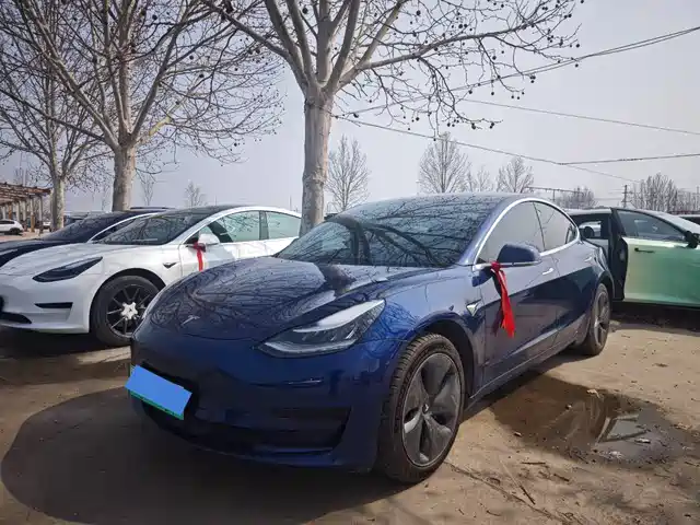TESLA MODEL 3 2020