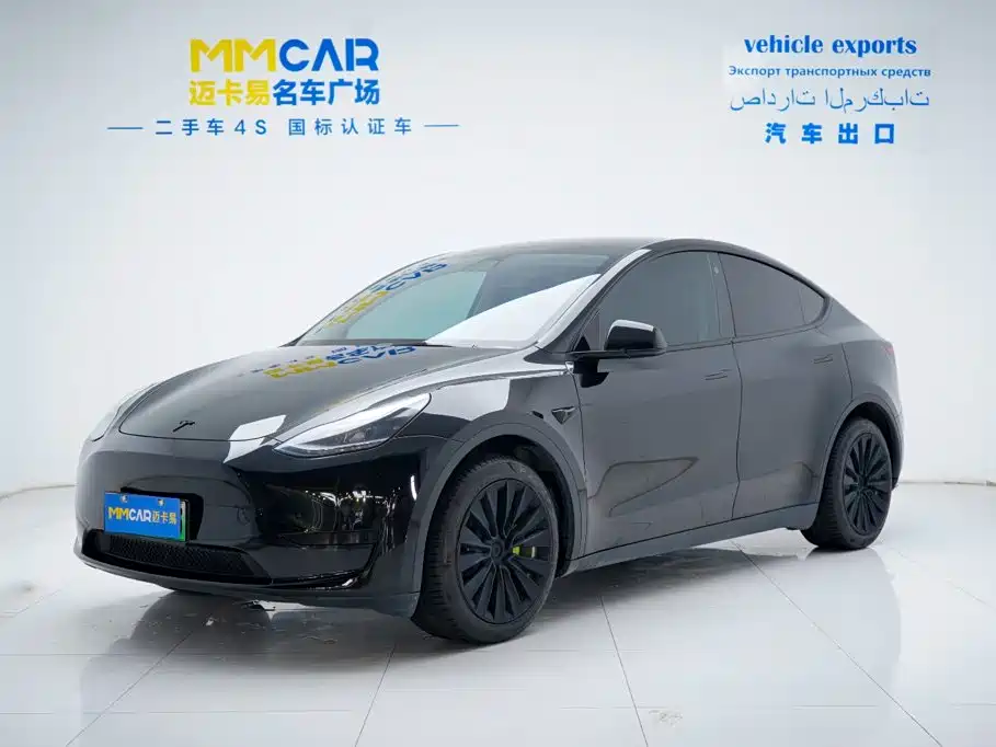 Tesla Model Y — миниатюра 2