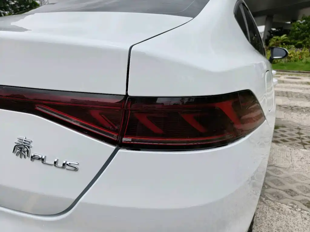 BYD Qin Plus PLUS 2024 DM-i 55KM Lead