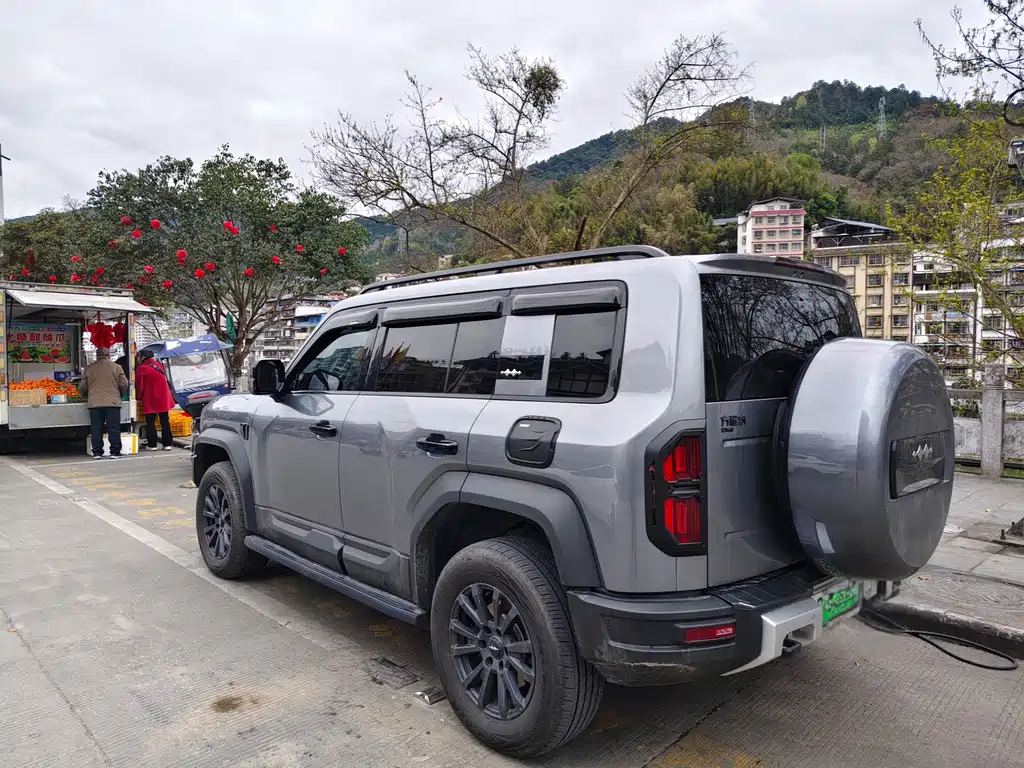 FANG CHENG BAO LEOPARD 5