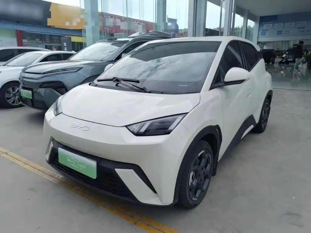 BYD Seagull