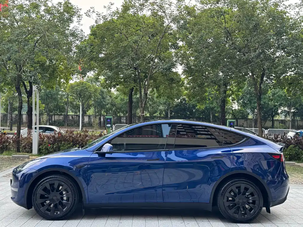 Tesla Model Y — миниатюра 13