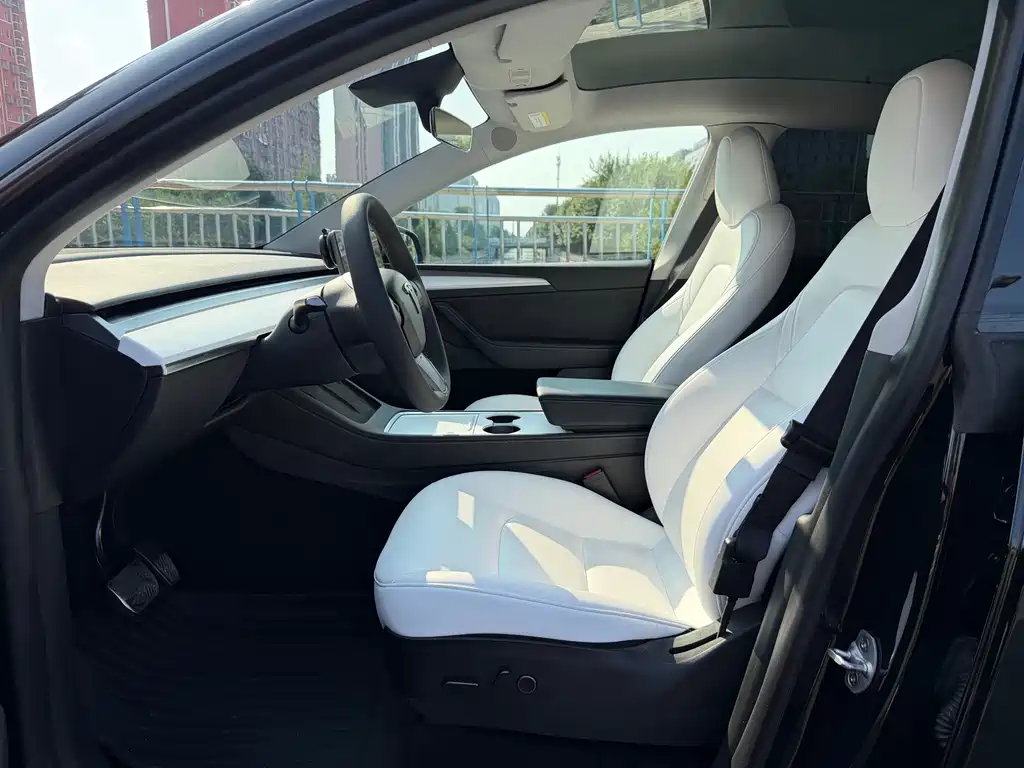 Tesla Model Y — миниатюра 7