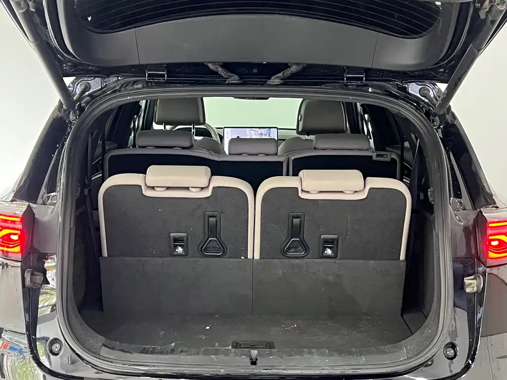 BYD Tang 2024 DM-i 112KM Flagship