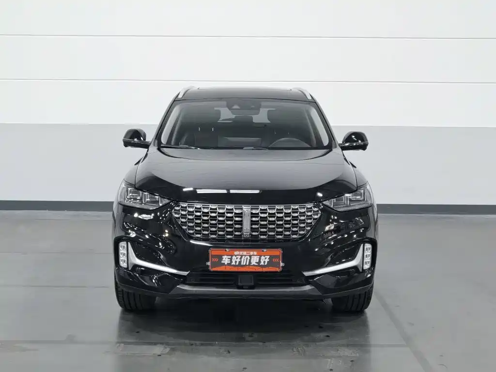 Wey Wey VV6 — миниатюра 3
