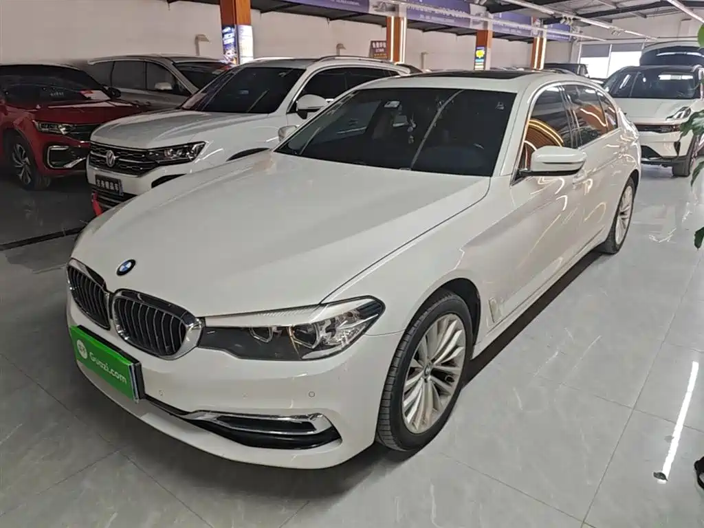 BMW 5 Series 2019