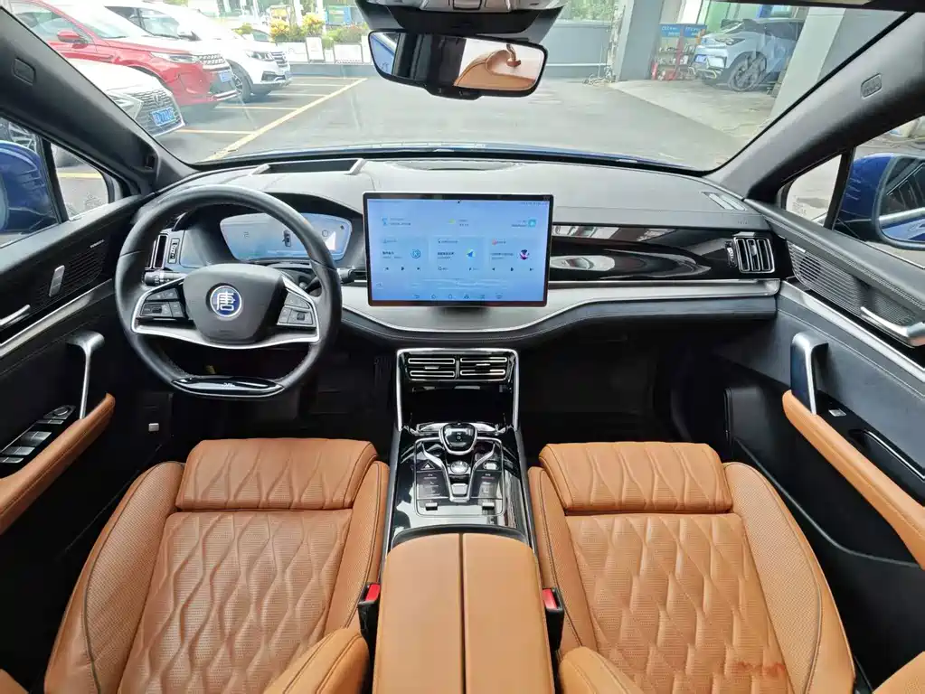 BYD Tang New Energy — миниатюра 19