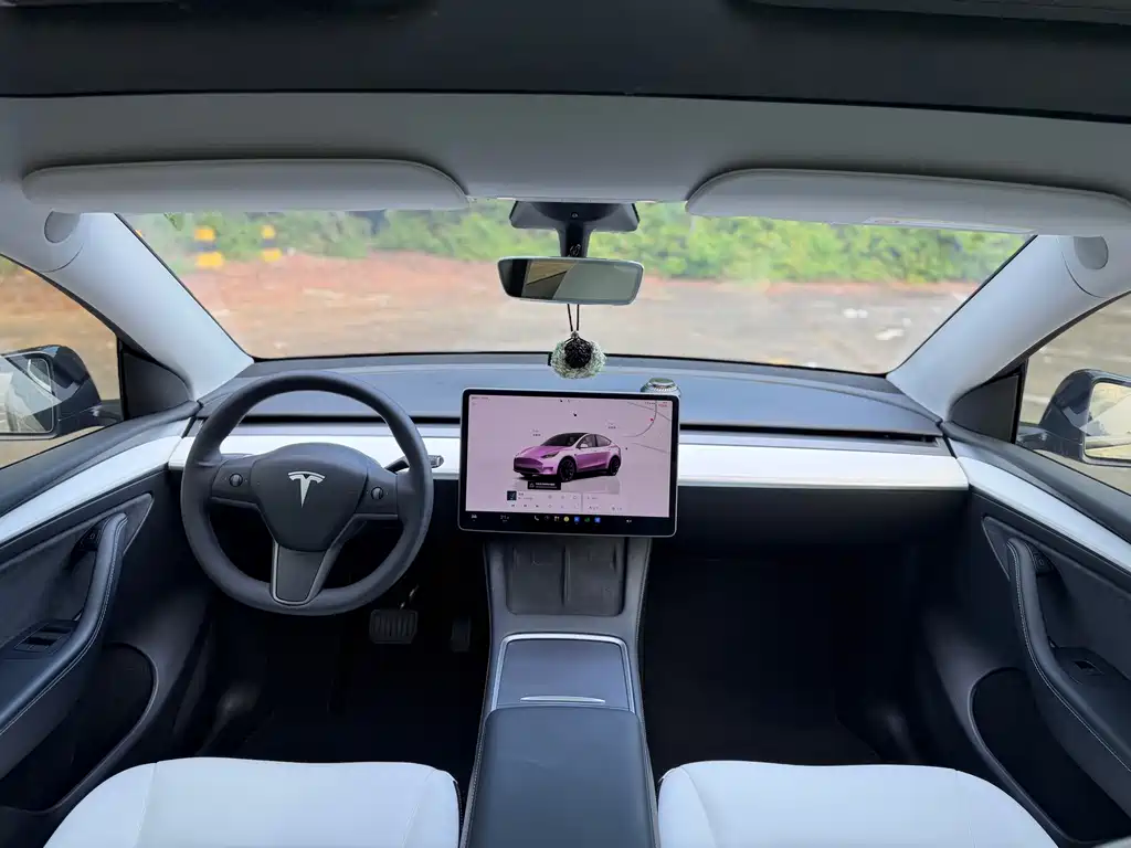 Tesla Model Y — миниатюра 7