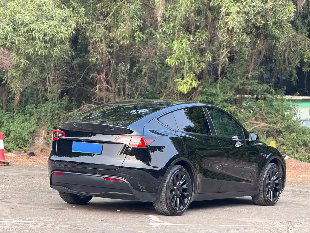Tesla Model Y — миниатюра 11