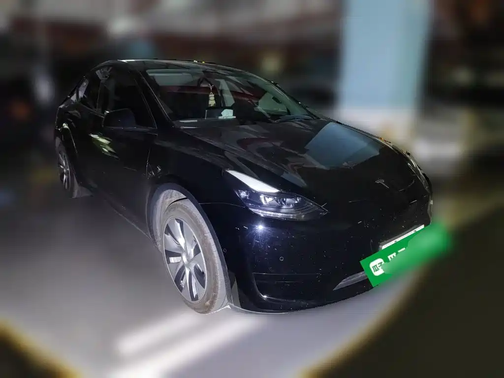 Tesla Model Y — миниатюра 25
