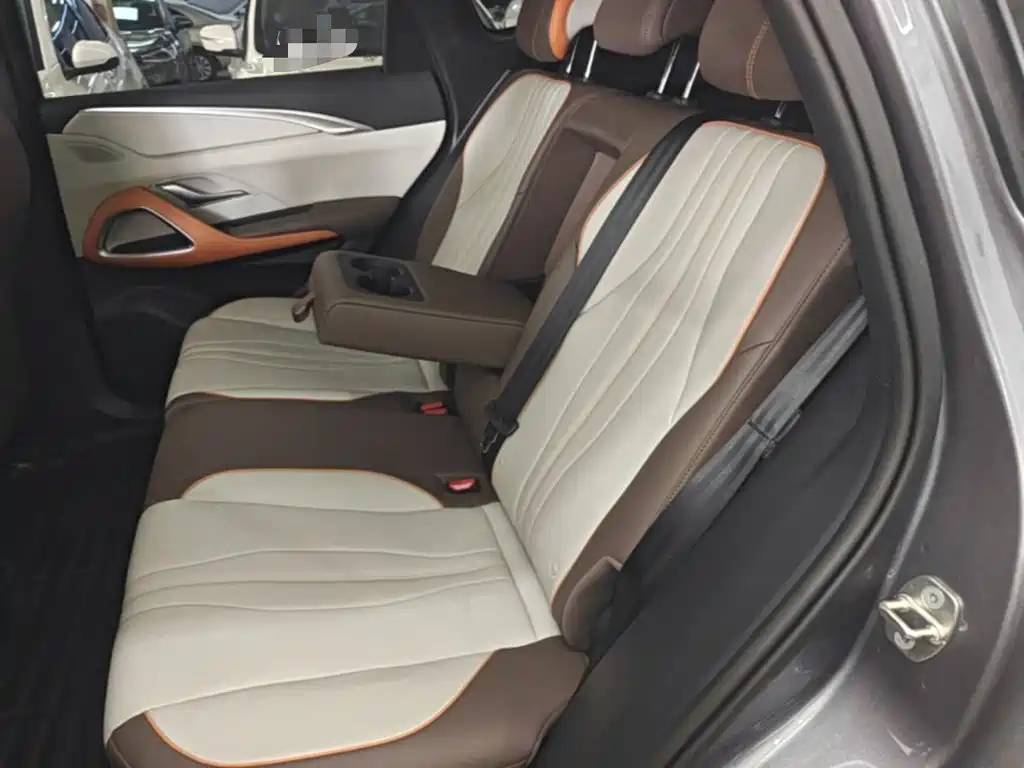 BYD Pro New Energy — миниатюра 17