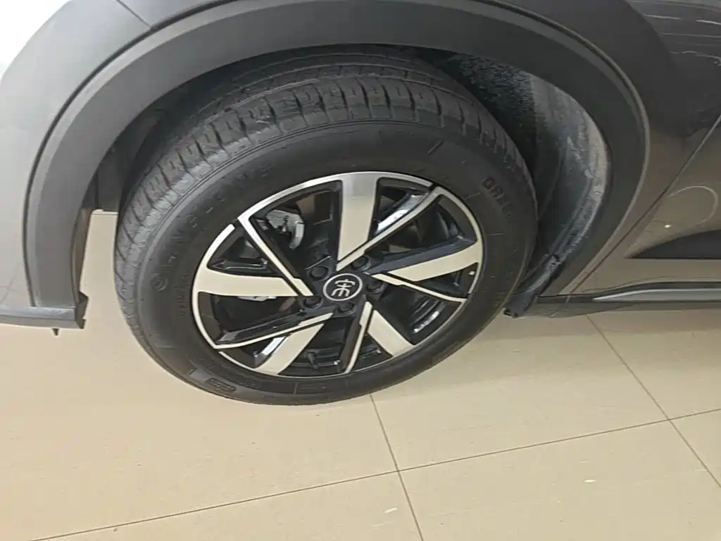 BYD Pro New Energy — миниатюра 23