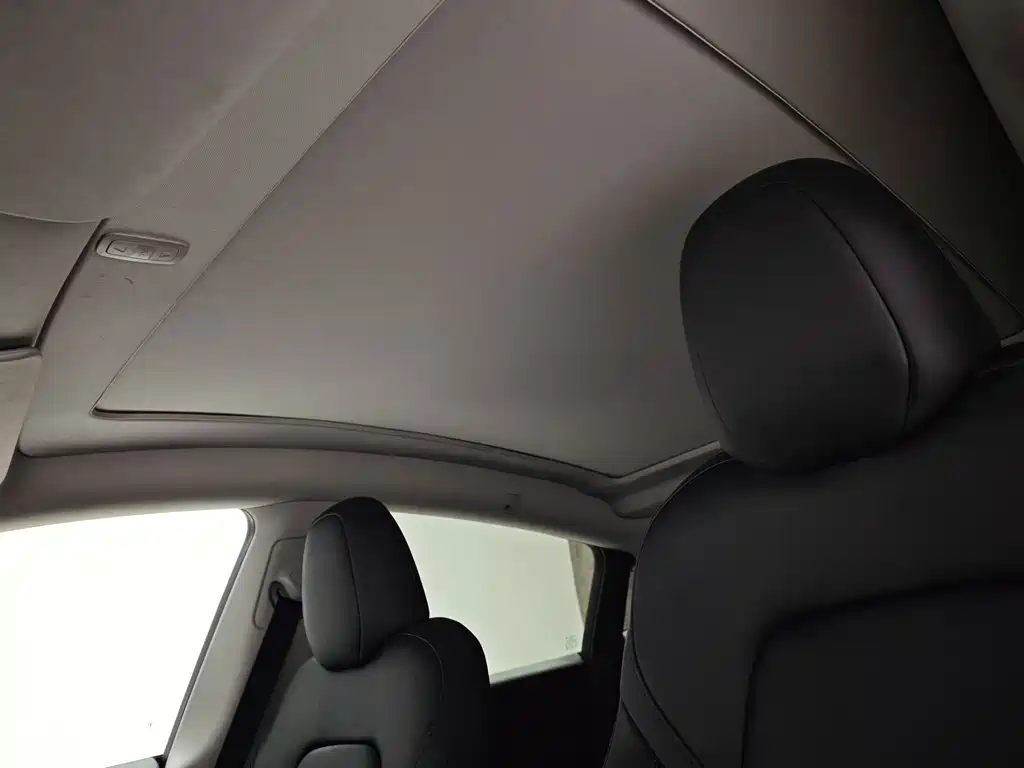 Tesla Model Y — миниатюра 13