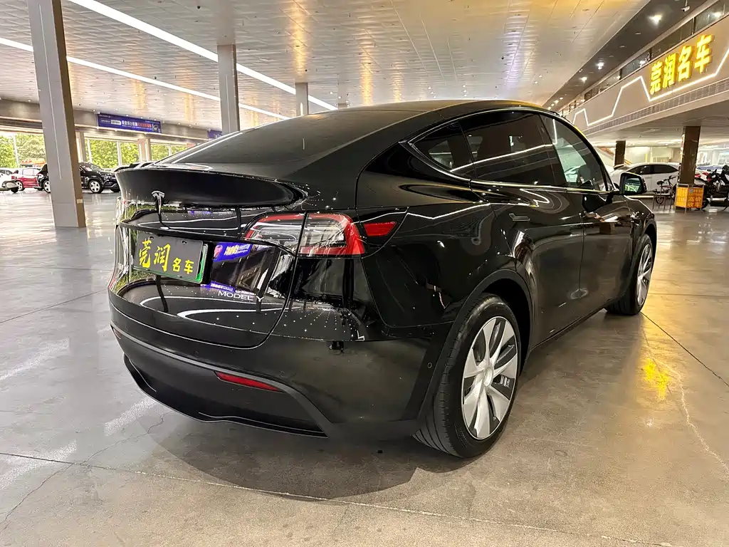 Tesla Model Y — миниатюра 15