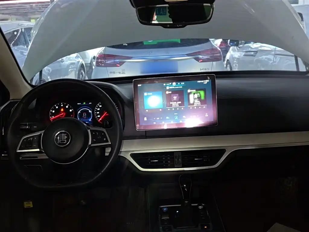 BYD Tang 2019 2.0T AT Luxury 7 мест VI