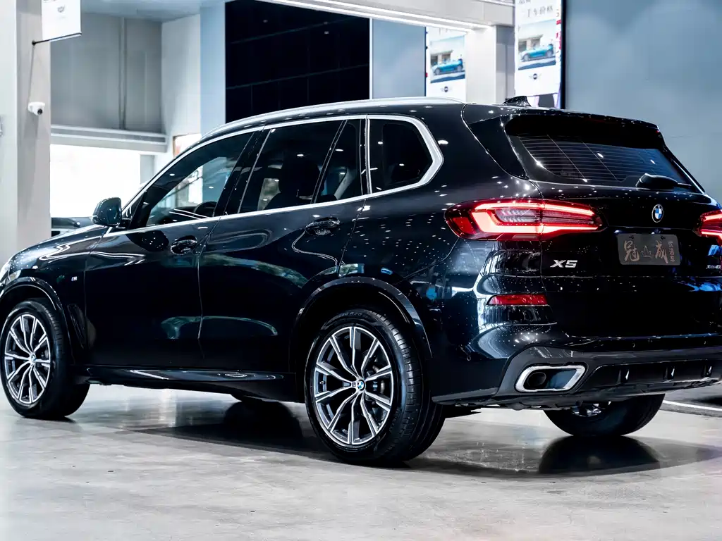 BMW X5 (Import) — миниатюра 8
