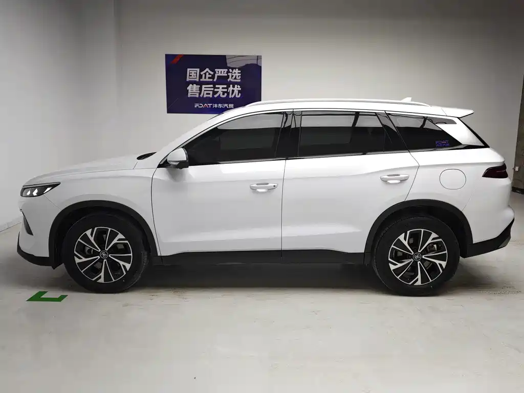 BYD Pro New Energy — миниатюра 9