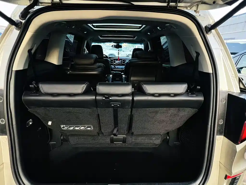 Honda Elysion — миниатюра 11