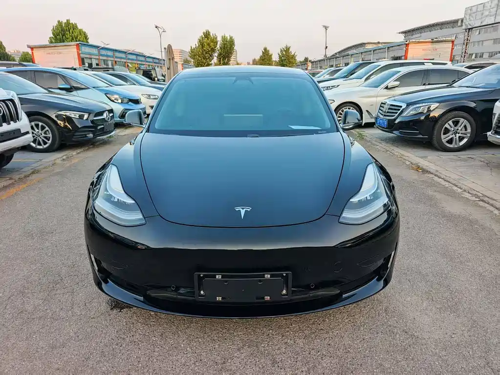 Tesla Model 3 — миниатюра 4