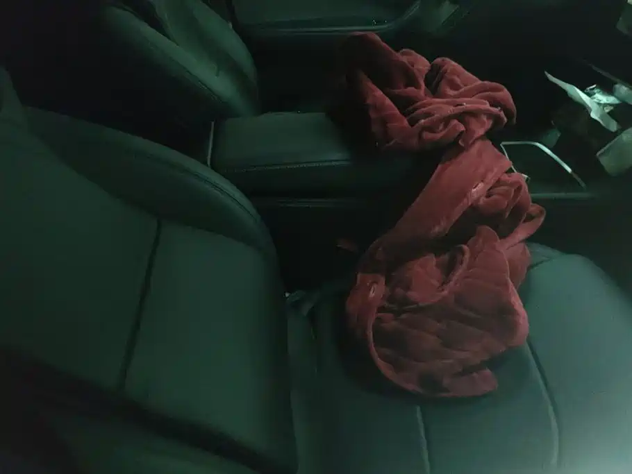 Tesla Model Y — миниатюра 8