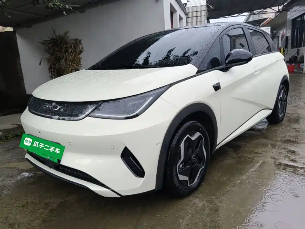 BYD Dolphin — миниатюра 2