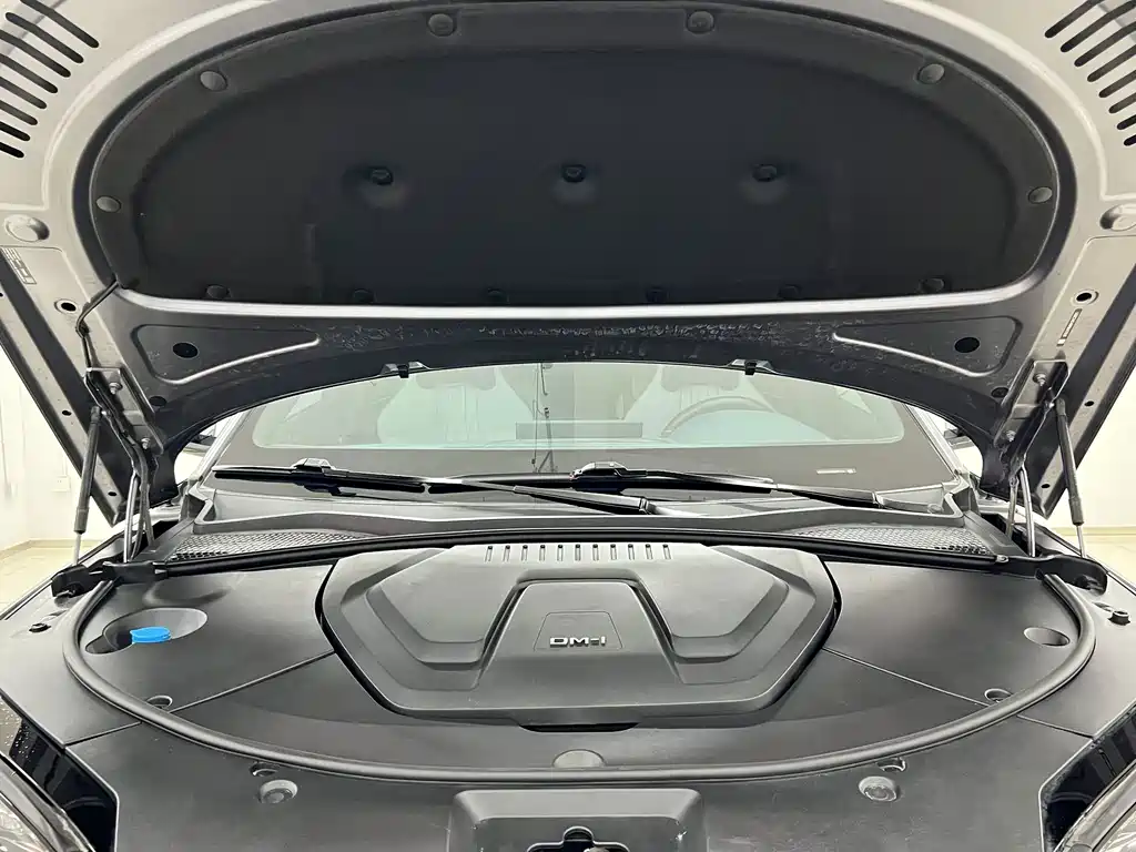 BYD PLUS New Energy — миниатюра 18