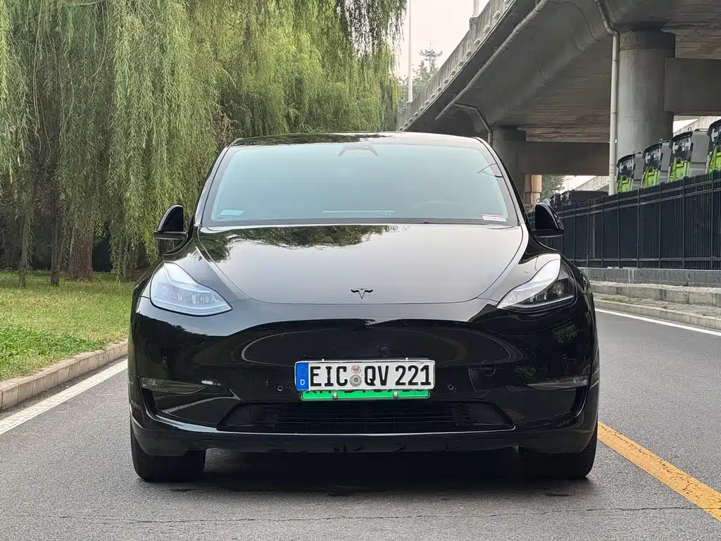 Tesla Model Y — миниатюра 7