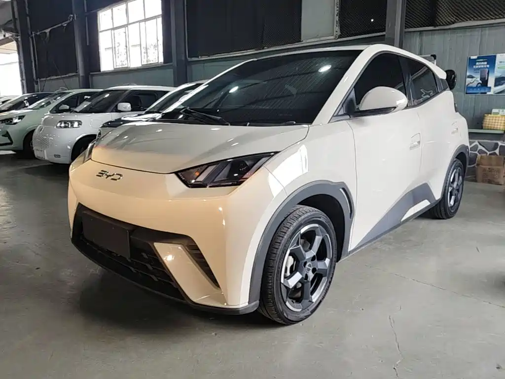 2024 BYD Seagull - zdjęcie 1 z 25
