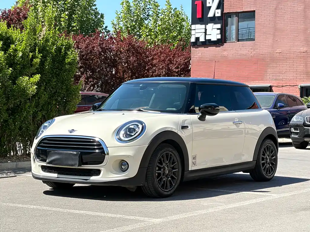 Mini Mini 2020