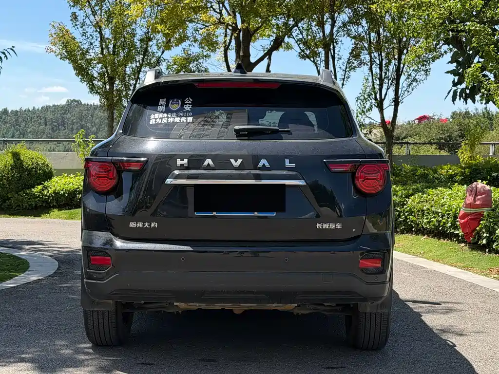Haval Big Dog PLUS — миниатюра 5